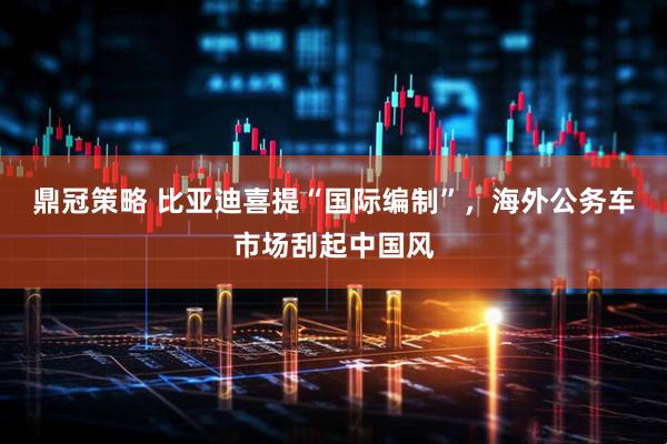 鼎冠策略 比亚迪喜提“国际编制”，海外公务车市场刮起中国风